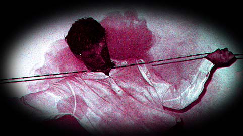 tuxedomoon peter princible